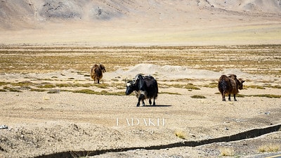 20251013-ay6fe 20251013-ay6fe