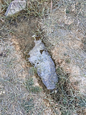 20251013-eja0f 20251013-eja0f