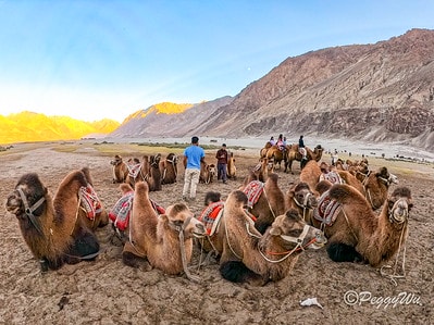 20251013-gxyvk 20251013-gxyvk