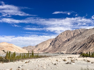 20251013-gz096 20251013-gz096