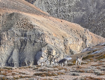 20251013-h6c24 20251013-h6c24