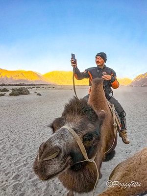 20251013-hfgm1 20251013-hfgm1