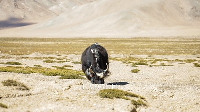 20251013-hjnxr 20251013-hjnxr