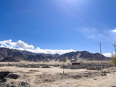 20251013-ibn8e 20251013-ibn8e