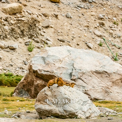 20251013-janxx 20251013-janxx