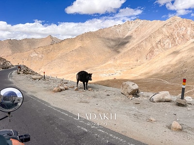 20251013-nrwha 20251013-nrwha