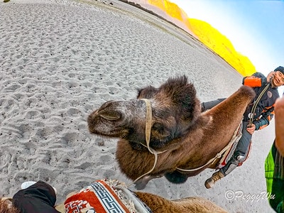 20251013-obzdb 20251013-obzdb