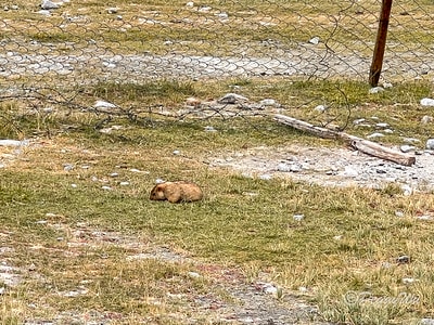 20251013-p3bhf 20251013-p3bhf