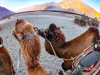 20251013-pfgwh 20251013-pfgwh