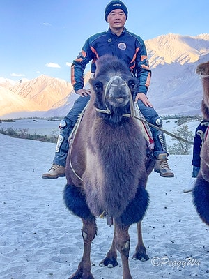 20251013-qgp2m 20251013-qgp2m