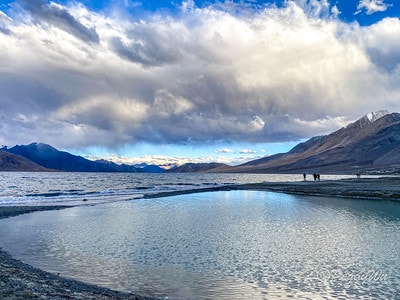 20251013-qpu4u 20251013-qpu4u