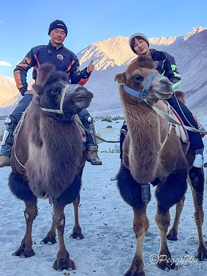 20251013-rl0gv 20251013-rl0gv