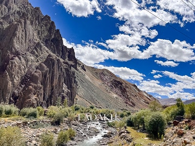 20251013-tjny6 20251013-tjny6