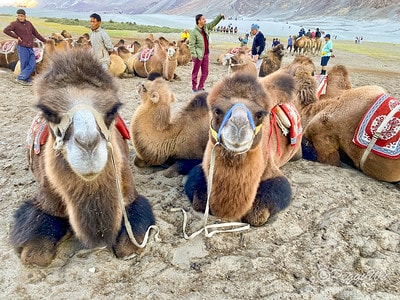 20251013-ux68l 20251013-ux68l