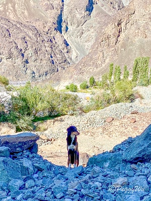 20251013-v3k5c 20251013-v3k5c