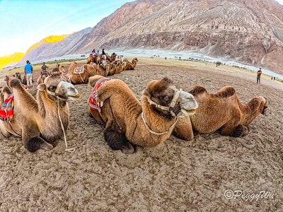 20251013-y64qv 20251013-y64qv