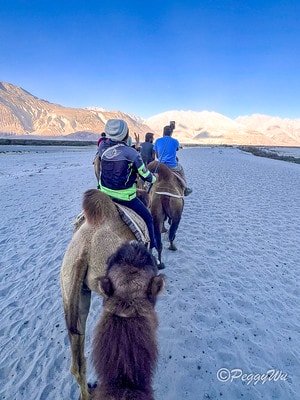 20251013-ztbgv 20251013-ztbgv