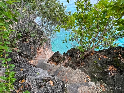 20251013-508zv 20251013-508zv