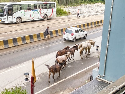 20251013-7ouk7 20251013-7ouk7