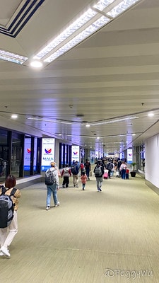 20251013-c8z70 20251013-c8z70