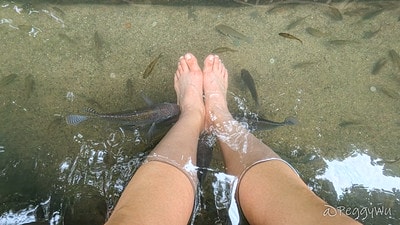 20251013-dabwl 20251013-dabwl