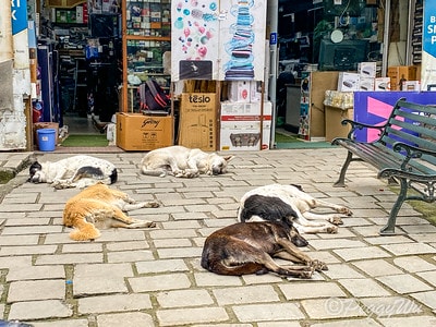 20251013-un2sy 20251013-un2sy