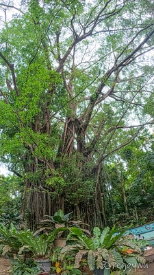 20251013-zobvr 20251013-zobvr