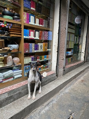 20251013-36r0c 20251013-36r0c