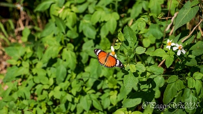 20251013-dk55v 20251013-dk55v