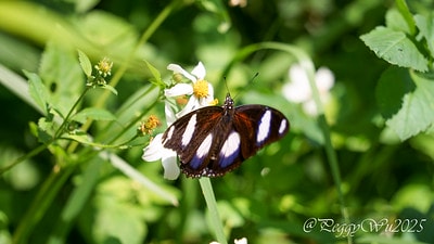 20251013-huxpa 20251013-huxpa