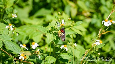 20251013-mrlxg 20251013-mrlxg