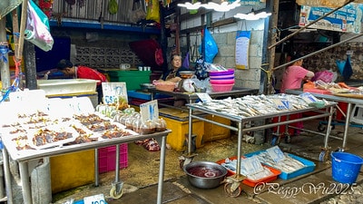 20251013-3e7a8 20251013-3e7a8