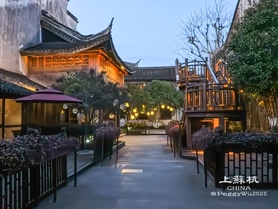 20251013-3fsvf 20251013-3fsvf