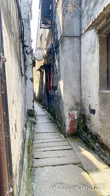 20251013-4waae 20251013-4waae