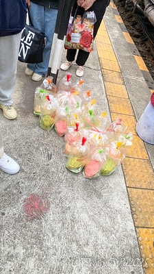 20251013-a69ge 20251013-a69ge