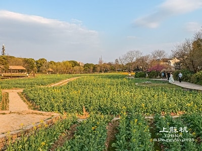 20251013-bhtjv 20251013-bhtjv