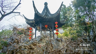 20251013-d8e27 20251013-d8e27