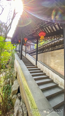 20251013-na4e7 20251013-na4e7