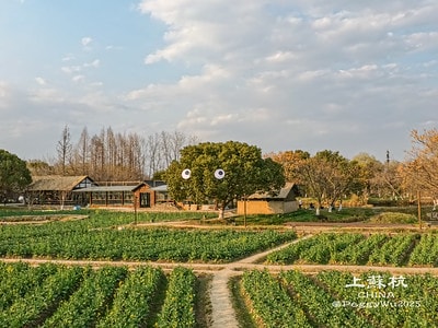 20251013-ns31q 20251013-ns31q