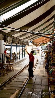 20251013-swp84 20251013-swp84