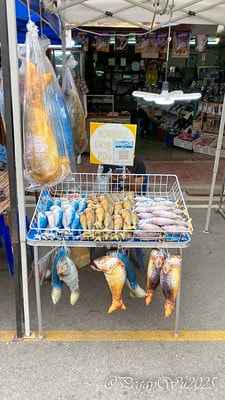 20251013-tjcym 20251013-tjcym