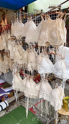 20251013-w9587 20251013-w9587