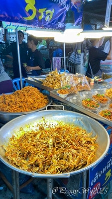 20251013-x2mxl 20251013-x2mxl