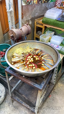 20251013-y248a 20251013-y248a