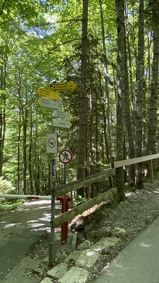 20251013-0bdce 20251013-0bdce