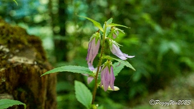 20251013-13n47 20251013-13n47