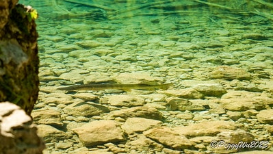 20251013-1p8fv 20251013-1p8fv