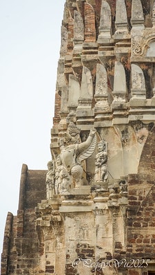 20251013-40003 20251013-40003