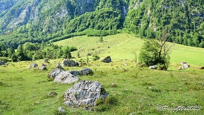 20251013-47rq0 20251013-47rq0