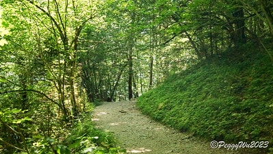 20251013-4c4p1 20251013-4c4p1